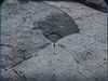 Concrete